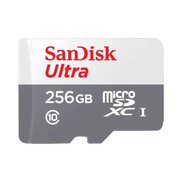 MEMORIA DE 256 sanDisk