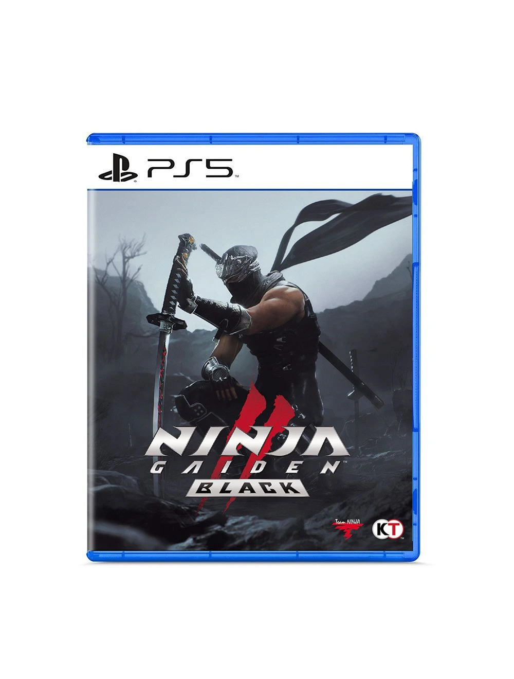 NINJA GAIDEN BLACK